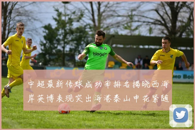 中超最新传球成功率排名揭晓西海岸英博表现突出海港泰山申花紧随其后