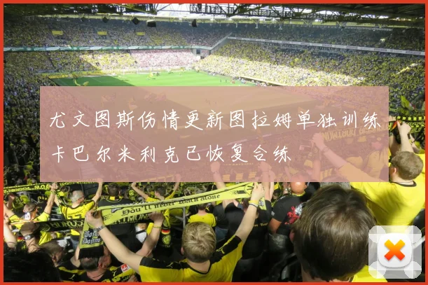 尤文图斯伤情更新图拉姆单独训练卡巴尔米利克已恢复合练