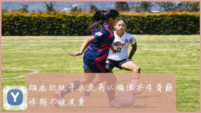 雄鹿积极寻求交易以确保字母哥巅峰期不被浪费