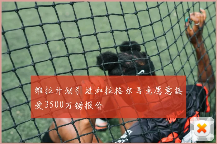 维拉计划引进加拉格尔马竞愿意接受3500万镑报价